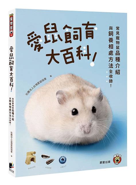 鼠類寵物|愛鼠飼育大百科：常見寵物鼠品種介紹與飼養相處方法全收錄！